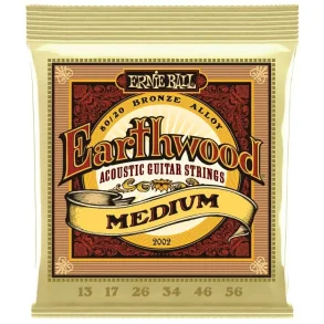 Ernie Ball 2002 Earthwood 80/20 Medium